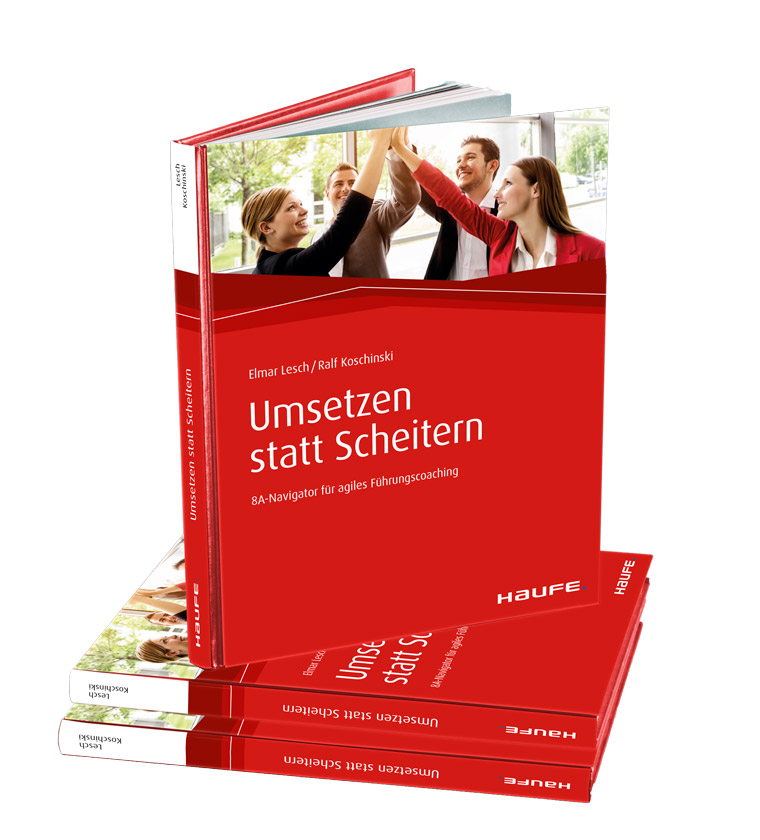 Praxisratgeber Fachbuch Umsetzen statt Scheitern